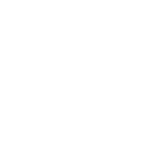 Pulga rio