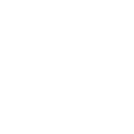 dinamo